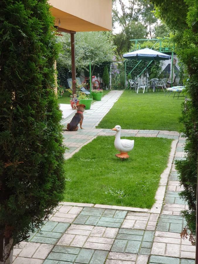 מלון Rîşnov Casa Lucky מראה חיצוני תמונה